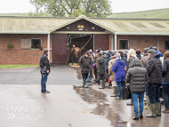 AK300921-63 - Alan King Stable Visit